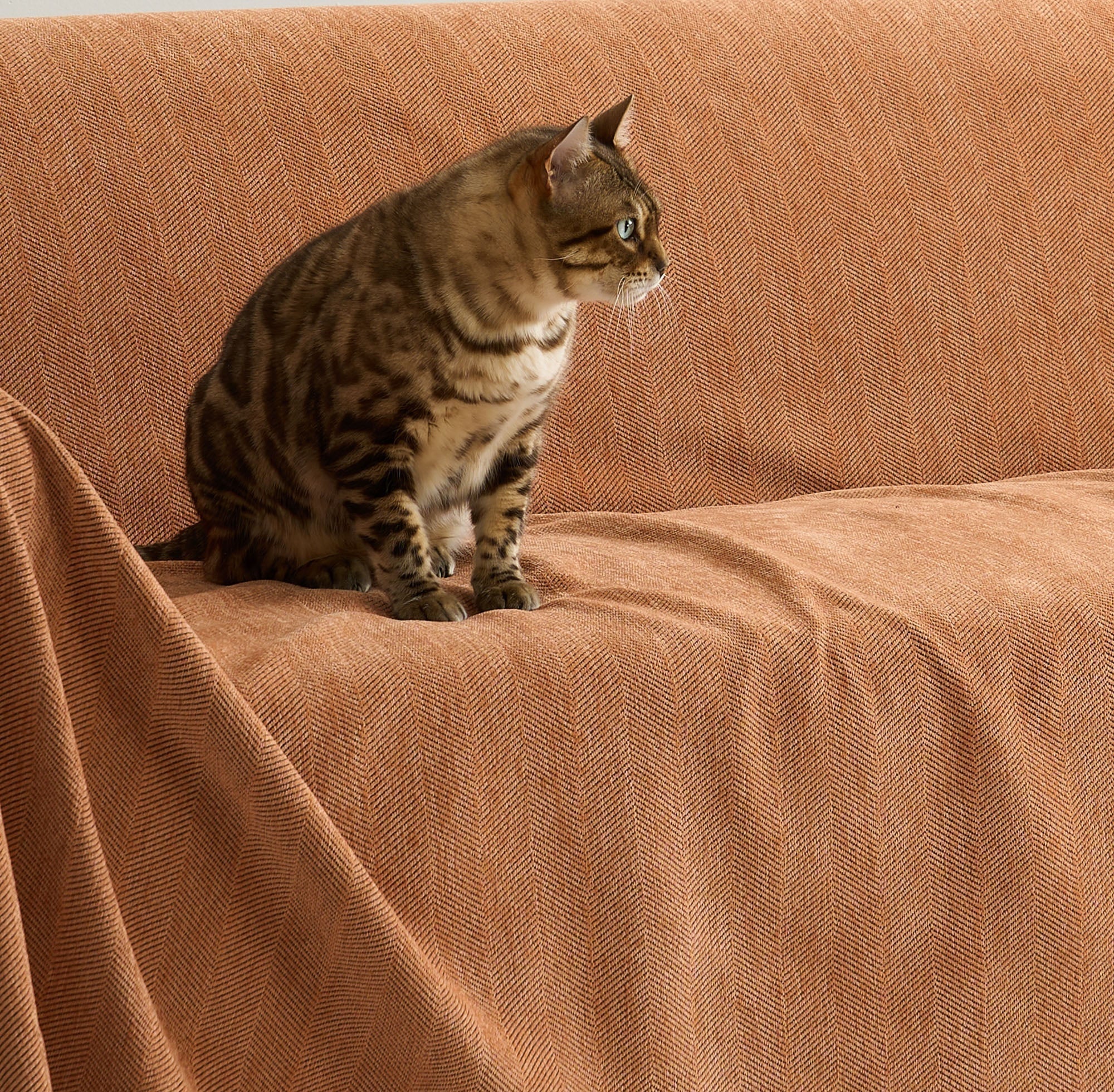 Durable Zig Zag Pet-Friendly Sofa Cover 4