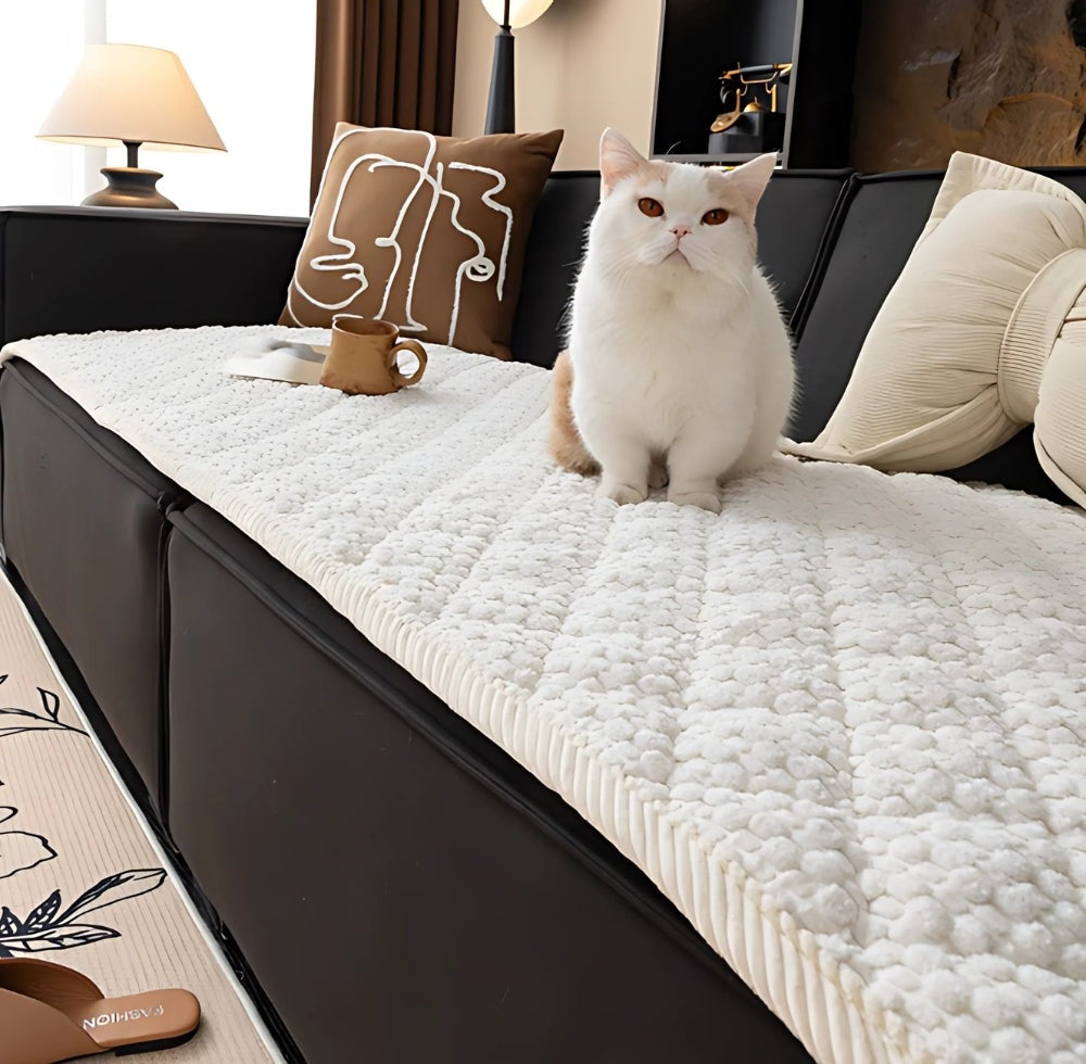 White cat sits on a cream textured sofa protector slip cover on a dark sofa with beige cushions and a brown abstract line art pillow, a small brown mug nearby and a lamp in the background.